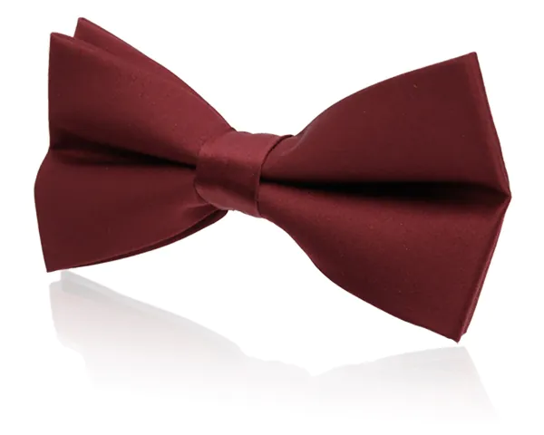 Ensemble de ceinture de smoking et nœud papillon pré-noué en poly bordeaux pour garçon - photo 1