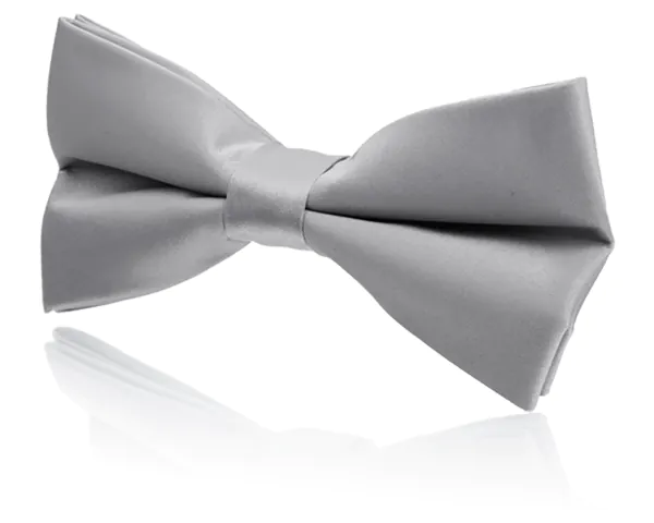 Ensemble de ceinture de smoking et nœud papillon pré-noué en poly argent pour garçon - photo 1