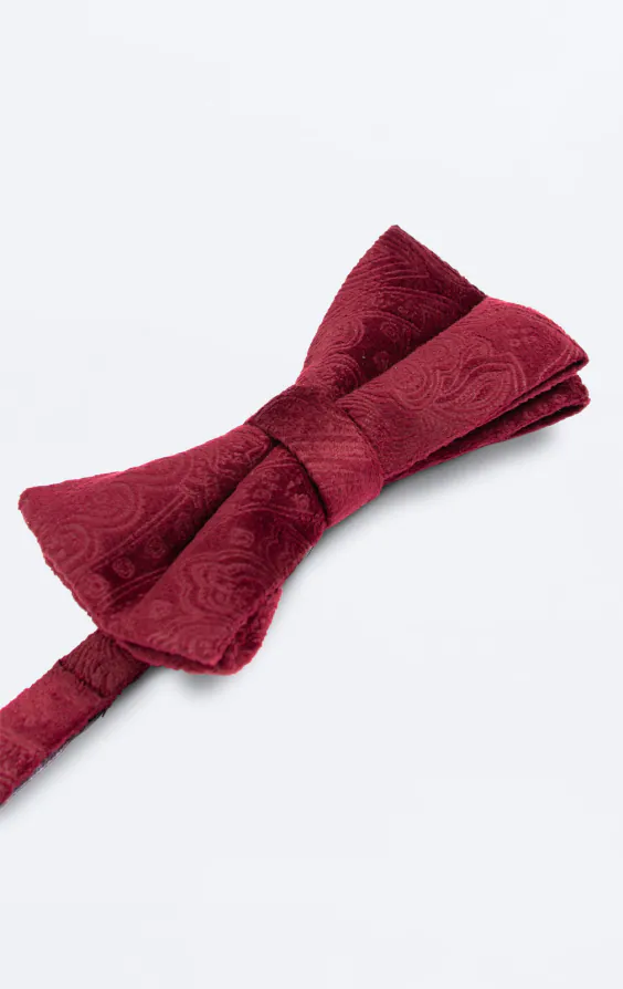 Nœud Papillon en Velours Motif Cachemire Bordeaux - photo 1 Nœud Papillon en Velours Motif Cachemire Bordeaux - photo 1