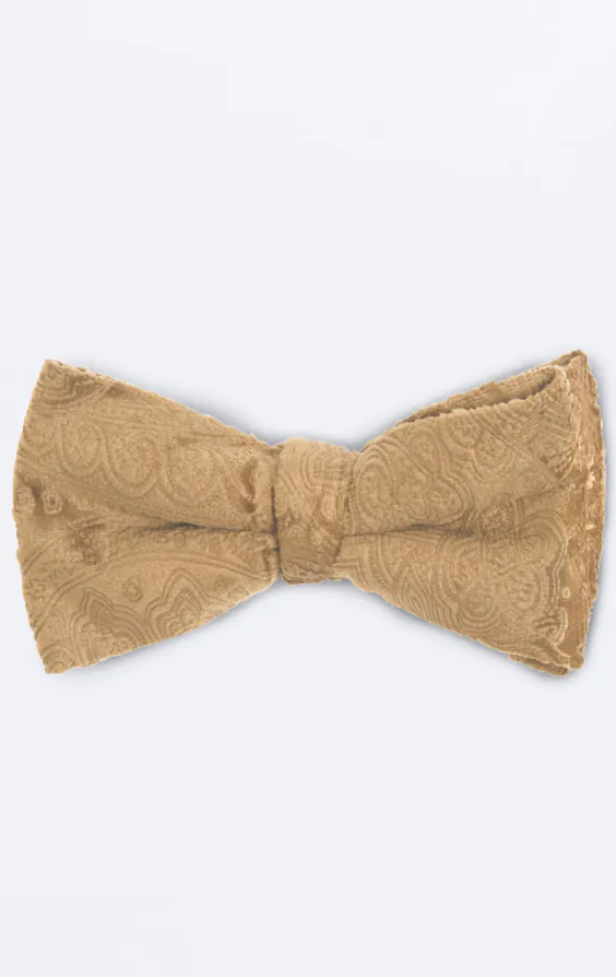 Nœud Papillon en Velours Motif Cachemire Or Nœud Papillon en Velours Motif Cachemire Or