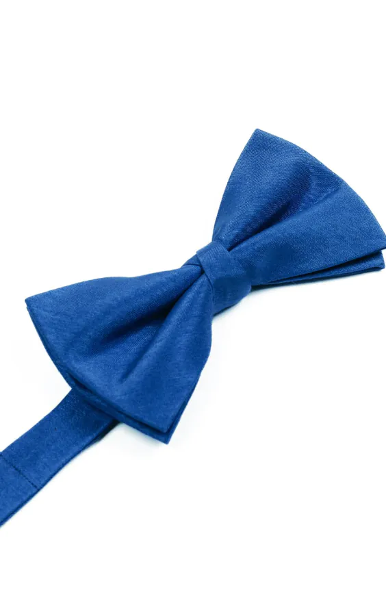 Nœud Papillon en Doupion Bleu Roi - photo 1