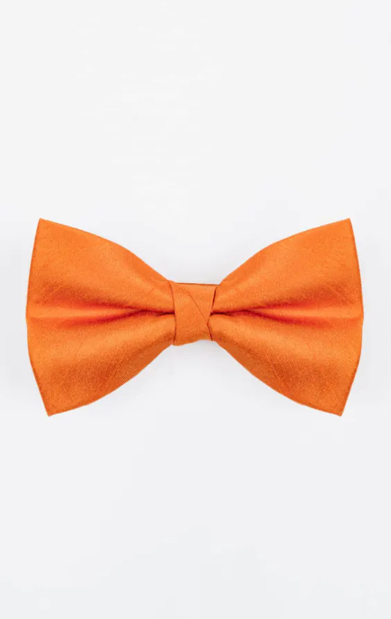 Nœud Papillon en Doupion Orange Nœud Papillon en Doupion Orange