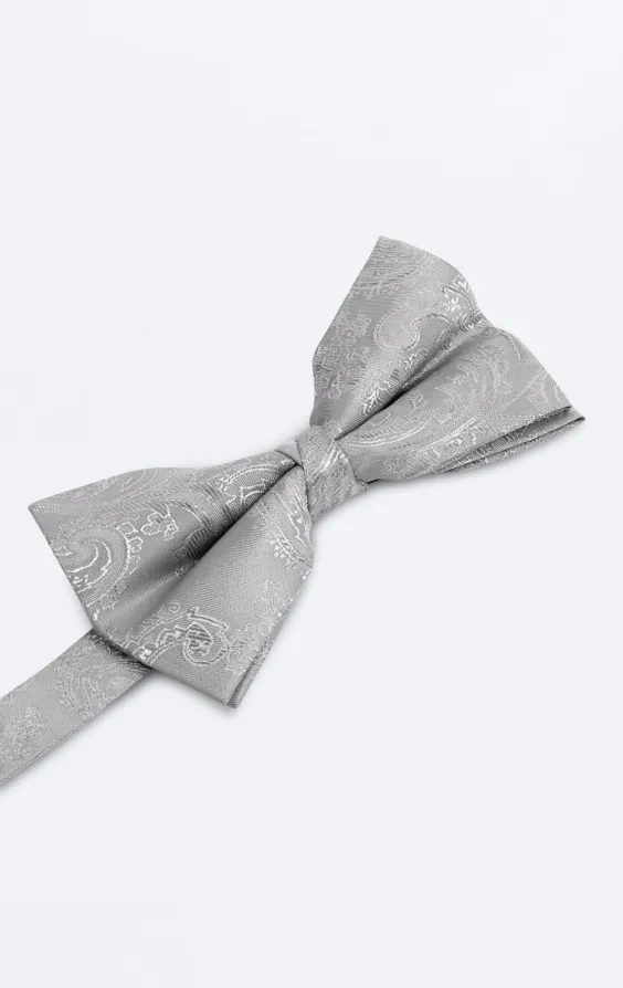 Nœud Papillon Argenté Motif Cachemire - photo 1
