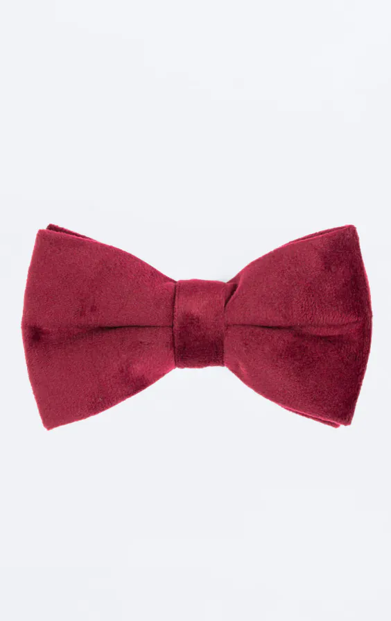 Nœud Papillon Velours Bordeaux Nœud Papillon Velours Bordeaux