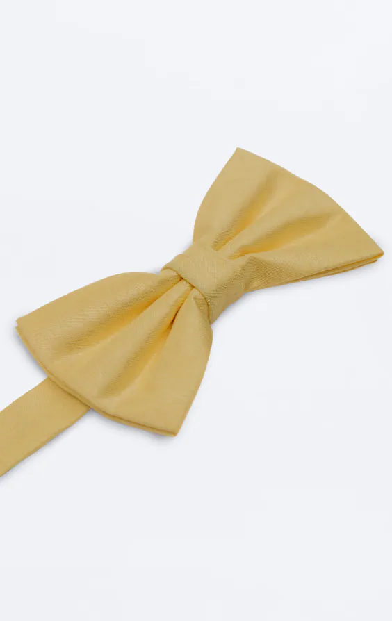 Nœud papillon en doupion jaune clair - photo 1