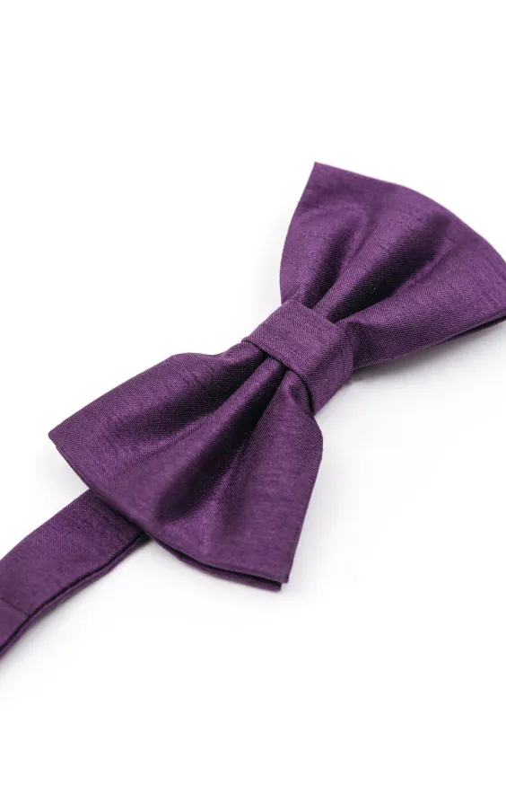 Nœud papillon en doupion violet foncé - photo 1