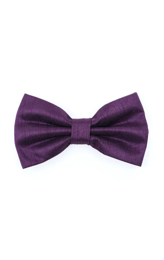 Nœud papillon en doupion violet foncé
