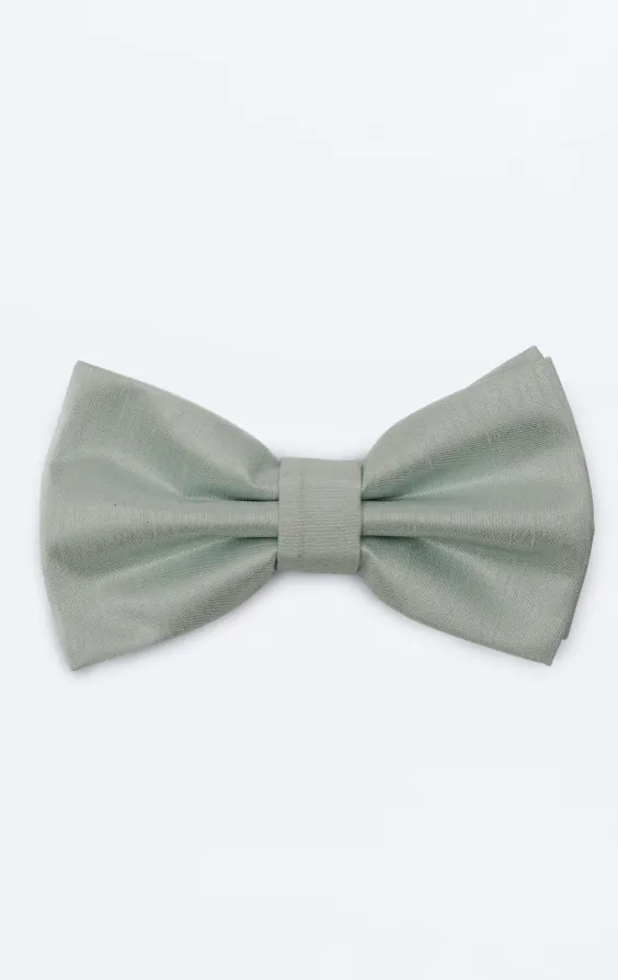 Nœud papillon en doupion vert clair