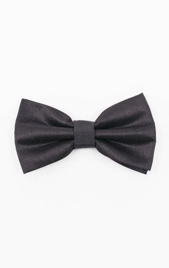 Nœud papillon en doupion gris foncé
