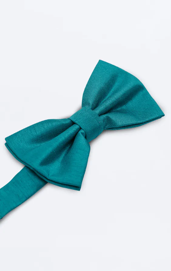 Nœud papillon en doupion turquoise - photo 1