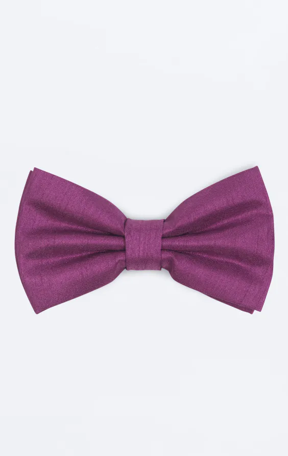 Nœud Papillon doupion violette