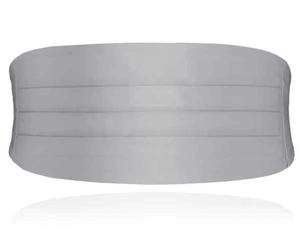 Ensemble de ceinture de smoking et nœud papillon pré-noué en poly argent pour garçon - photo 2