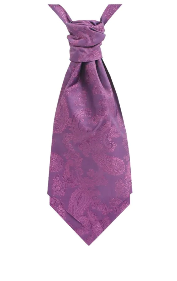 Dobell Foulard-Cravate Violet Motif Cachemire Garçon