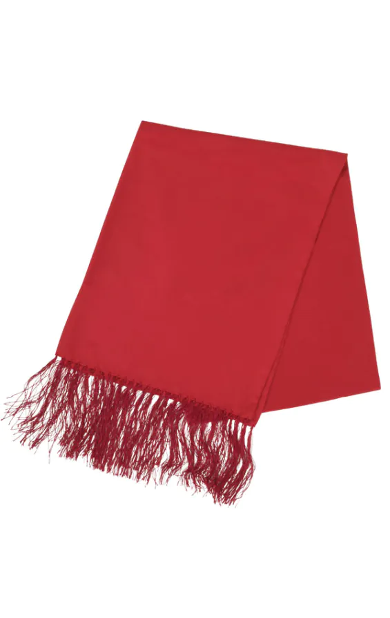 Écharpe Habillé Rouge - photo 1