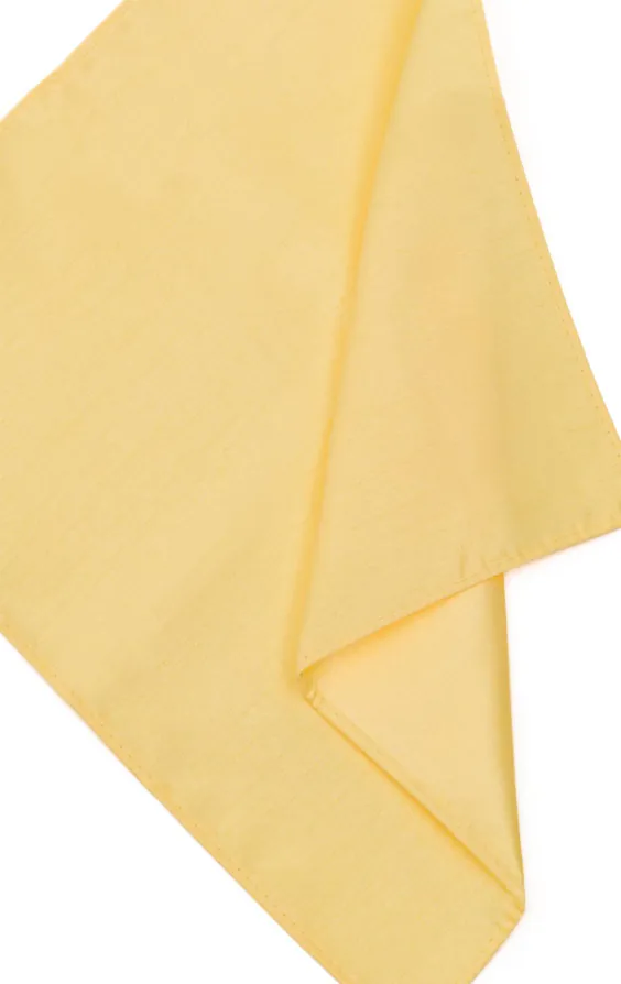 Pochette en doupion jaune clair - photo 1