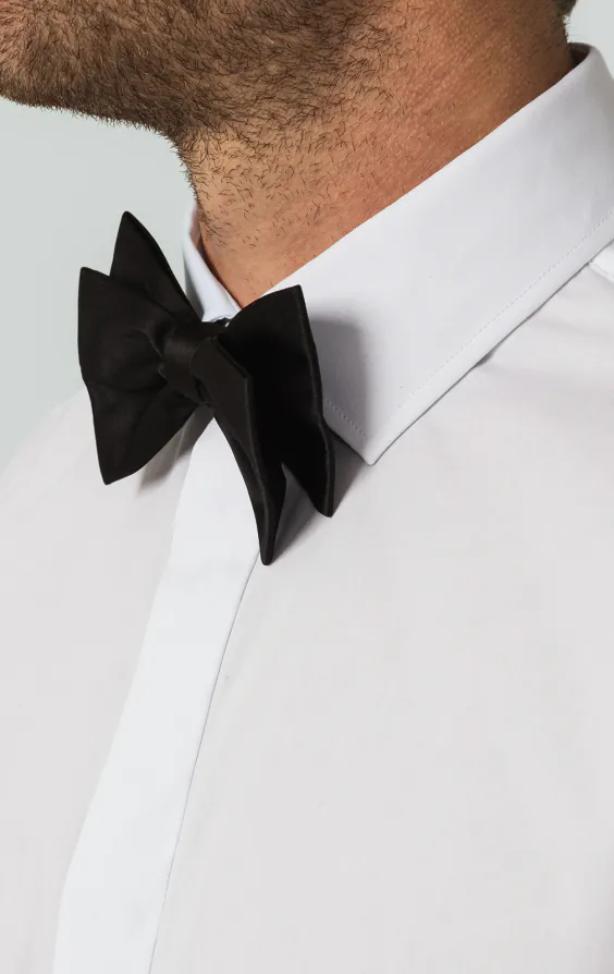 Chemise habillée unie, coupe slim, col standard, 100% coton - photo 2 Chemise habillée unie, coupe slim, col standard, 100% coton - photo 2