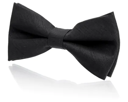 Nœud Papillon Pré-Noué en Doupion Noir Garçon
