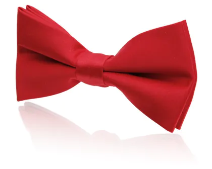 Nœud Papillon Pré-Noué Rouge Garçon