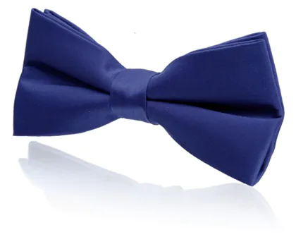 Nœud Papillon Pré-Noué Bleu Roi Garçon