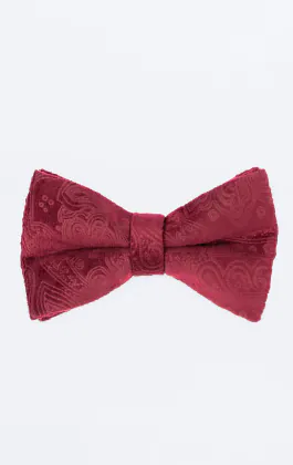 Nœud Papillon en Velours Motif Cachemire Bordeaux