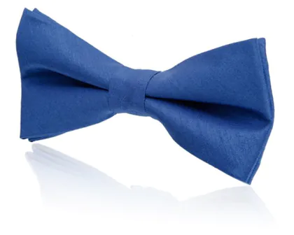 Nœud-Papillon pré-noué Doupion Bleu Royal Garçon