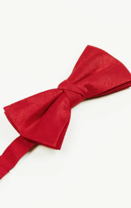 Nœud Papillon en Doupion Rouge Cramoisi