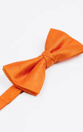 Nœud Papillon en Doupion Orange