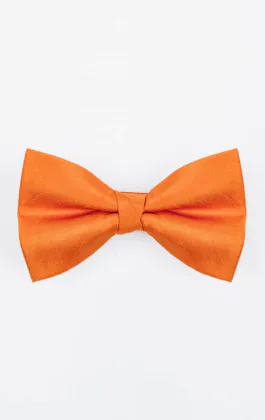 Nœud Papillon en Doupion Orange