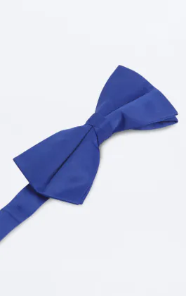 Nœud Papillon Bleu Roi (Pré-Noué & A Nouer)