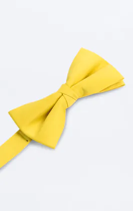 Nœud Papillon Jaune Pré-Noué