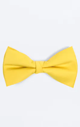 Nœud Papillon Jaune Pré-Noué