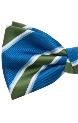 Nœud Papillon à Rayures Vert et Bleu