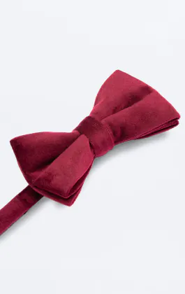 Nœud Papillon Velours Bordeaux