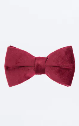 Nœud Papillon Velours Bordeaux