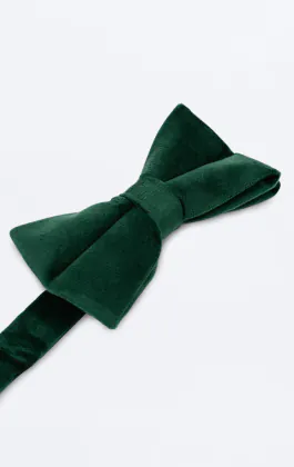 Nœud Papillon Velours Vert