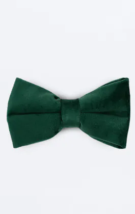 Nœud Papillon Velours Vert