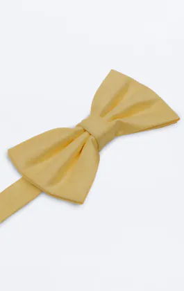 Nœud papillon en doupion jaune clair