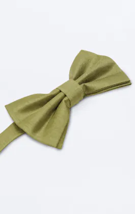 Nœud papillon en doupion vert