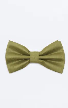 Nœud papillon en doupion vert