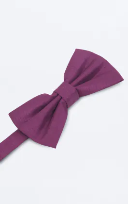 Nœud Papillon doupion violette