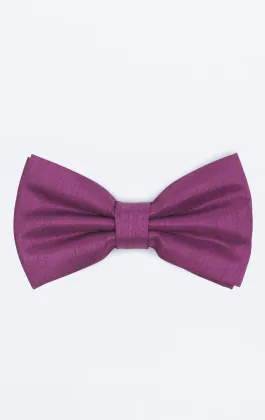 Nœud Papillon doupion violette