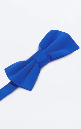 Nœud Papillon Bleu Pré-Noué