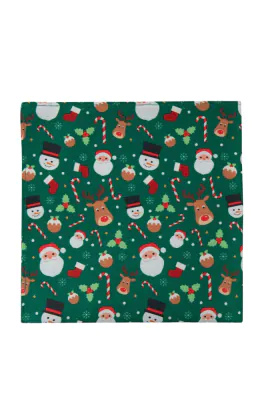 Pochette de Noël Verte Père Noël & Amis