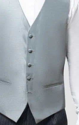 Gilet doupion argenté